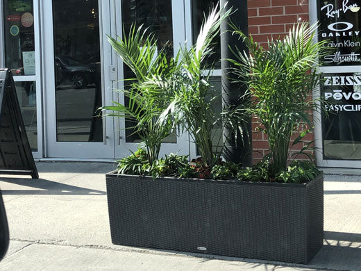Flower pots