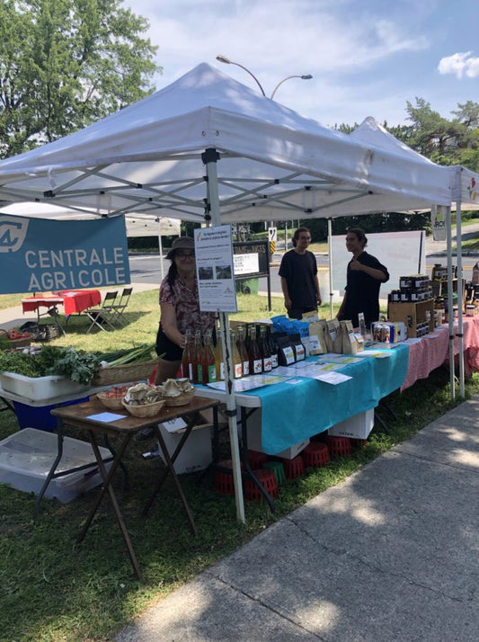 Summer Market